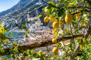 Amalfi Monumental Garden_Lemons