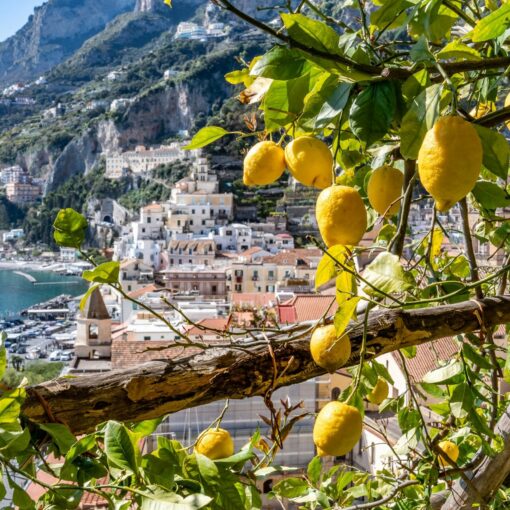 Amalfi Monumental Garden_Lemons