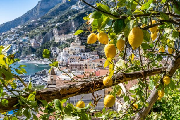 Amalfi Monumental Garden_Lemons